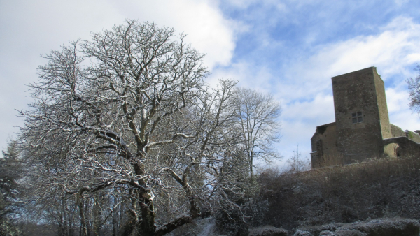 Le donjon et le marronnier sous la neige