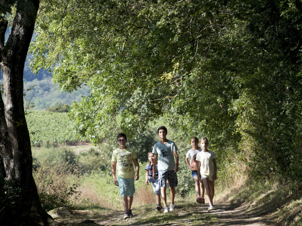 Balade en forêt autour de Brancion