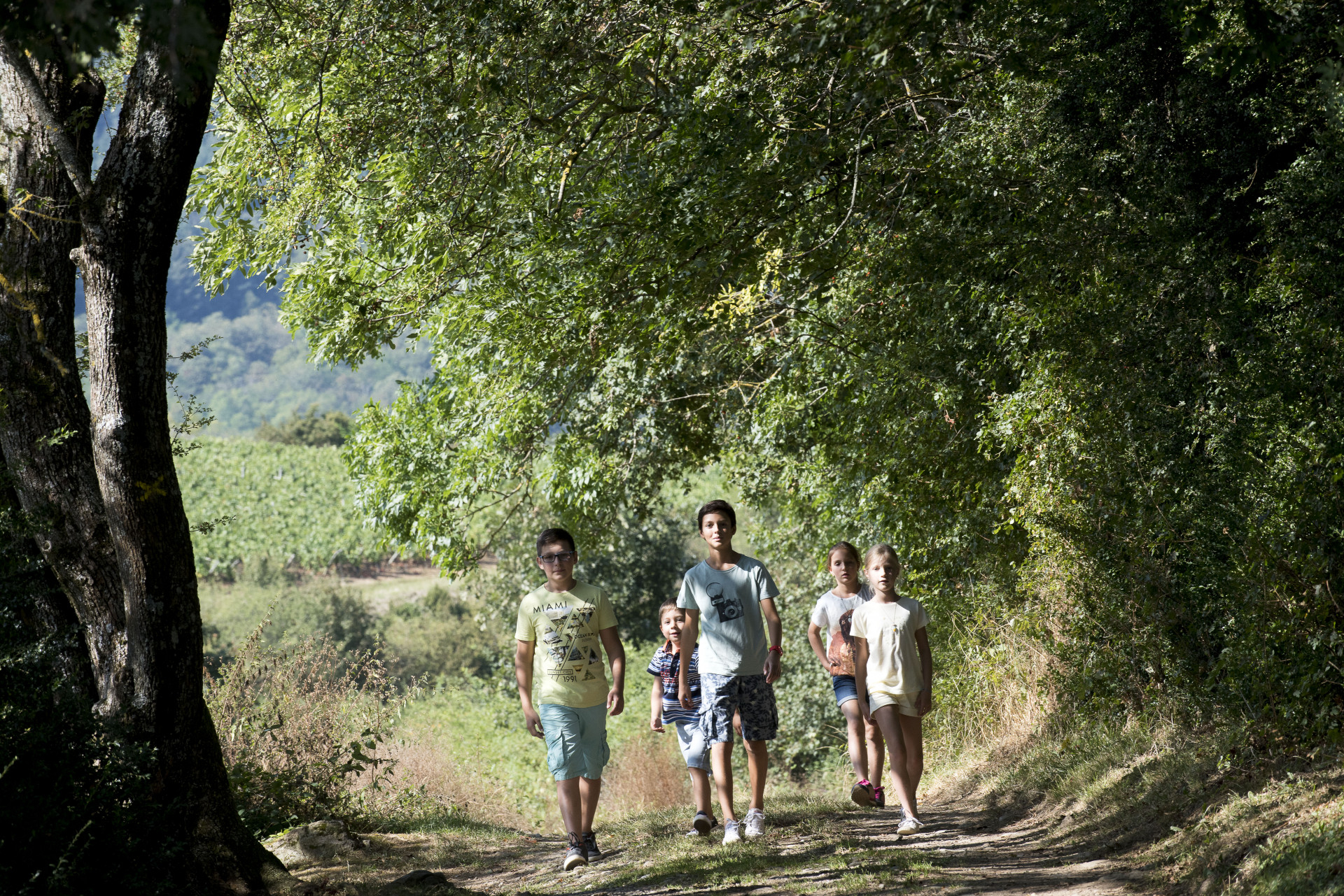 Un groupe d'enfants marche en forêt
